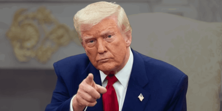 Trump Rancang Tarif Khusus untuk Furnitur Impor