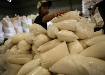 Danantara Siapkan Rp1,5 T Serap Gula Petani