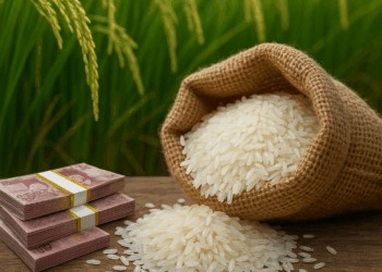 Uang Pajak Bantu Ketahanan Pangan Indonesia