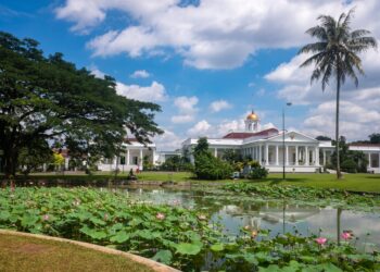 Program Pemutihan & Operasi Sisir PBB di Kota Bogor