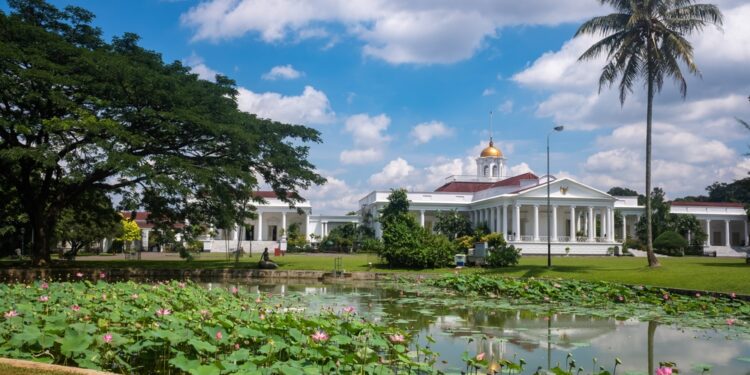 Program Pemutihan & Operasi Sisir PBB di Kota Bogor