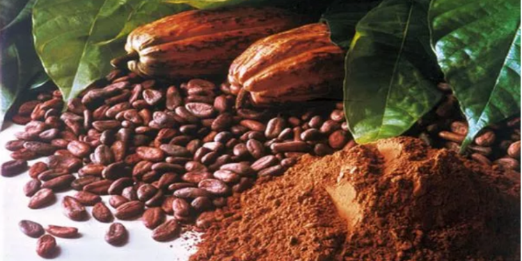 Ekspor Kakao Kena Pungutan, Pemerintah Dorong Hilirisasi dan Sejahterakan Petani