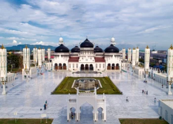 Resmi Dibuka! Aceh Gelar Pemutihan Pajak Kendaraan dengan 4 Insentif Besar