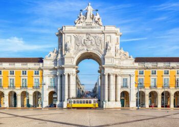 Dokter Hewan Portugal Desak Pemangkasan Tarif PPN untuk Semua Layanan Medis Hewan