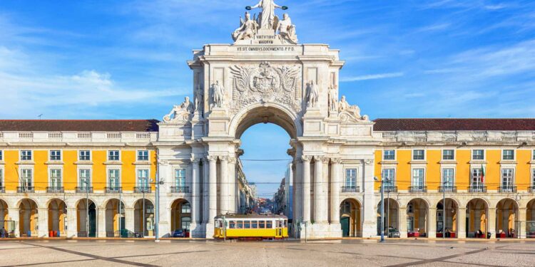 Dokter Hewan Portugal Desak Pemangkasan Tarif PPN untuk Semua Layanan Medis Hewan