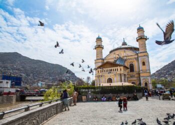 Afghanistan Tawarkan Tax Holiday 5 Tahun untuk Dorong Investasi Cold Storage