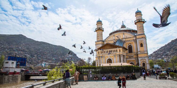 Afghanistan Tawarkan Tax Holiday 5 Tahun untuk Dorong Investasi Cold Storage