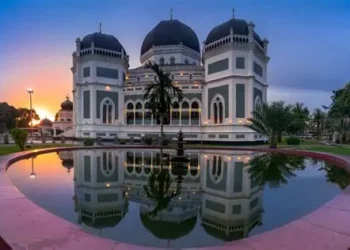 DJP Blokir 310 Rekening Penunggak Pajak di Sumatera Utara