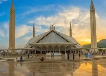 PM Pakistan Desak FBR Tutup Celah Penggelapan Pajak, Reformasi Kian Diperketat