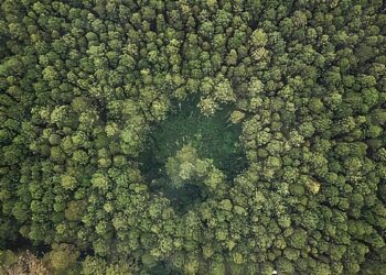 Tahukah Anda? Hutan Lindung dan Taman Nasional Tidak Kena PBB!