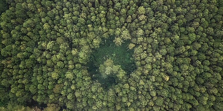Tahukah Anda? Hutan Lindung dan Taman Nasional Tidak Kena PBB!