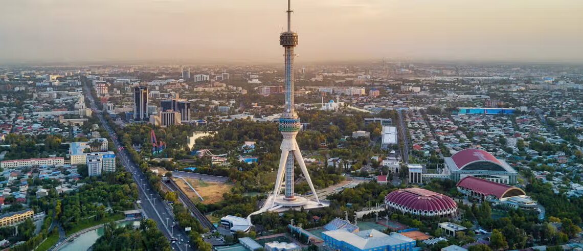 Uzbekistan Bangun Zona Bebas Pajak untuk Menarik Investasi AI Global