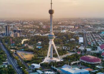 Uzbekistan Bangun Zona Bebas Pajak untuk Menarik Investasi AI Global