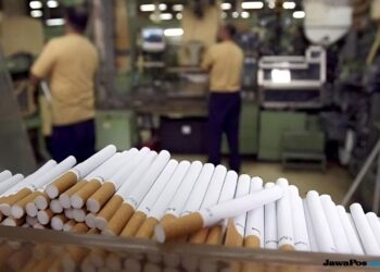 Mau Jalankan Pabrik Rokok? Ini Syarat Mengantongi NPPBKC yang Wajib Anda Tahu