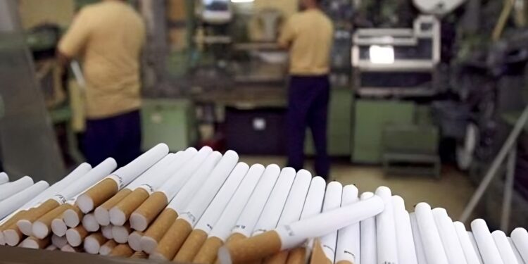 Mau Jalankan Pabrik Rokok? Ini Syarat Mengantongi NPPBKC yang Wajib Anda Tahu