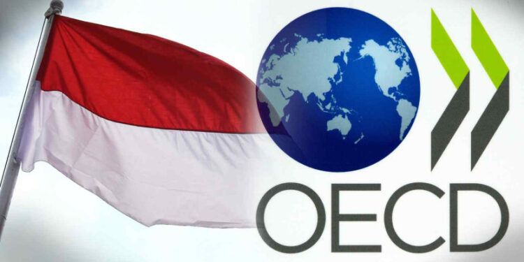 Indonesia Tunggu Aturan OECD Soal Insentif Pajak Berbasis Substansi, Ini Dampaknya