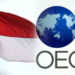 Indonesia Tunggu Aturan OECD Soal Insentif Pajak Berbasis Substansi, Ini Dampaknya