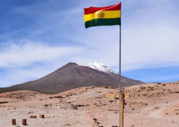 Baru Menjabat, Presiden Bolivia Siap Hapus 4 Jenis Pajak Ini