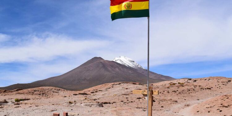 Baru Menjabat, Presiden Bolivia Siap Hapus 4 Jenis Pajak Ini