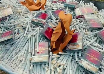 Razia Rokok Ilegal Digencarkan, Bea Cukai Sasar Pasar hingga Edukasi Petani