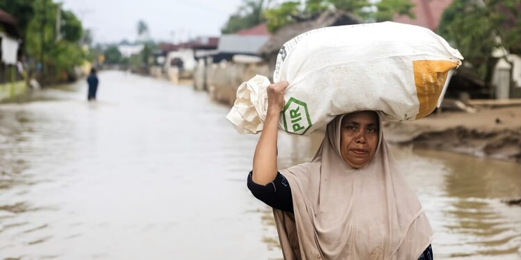 Bebas PPN, Pemerintah Izinkan KEK Donasikan Produk ke Korban Bencana Sumatera