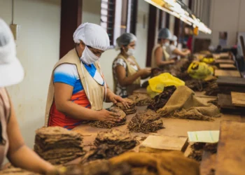 DPR Wanti-wanti Penambahan Layer CHT Tekan Produsen SKT!