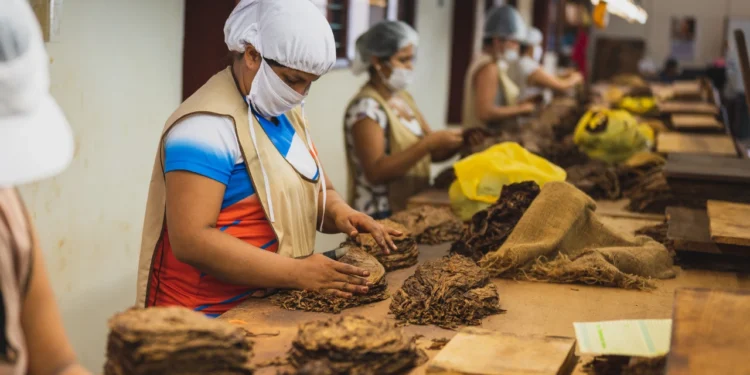 DPR Wanti-wanti Penambahan Layer CHT Tekan Produsen SKT!