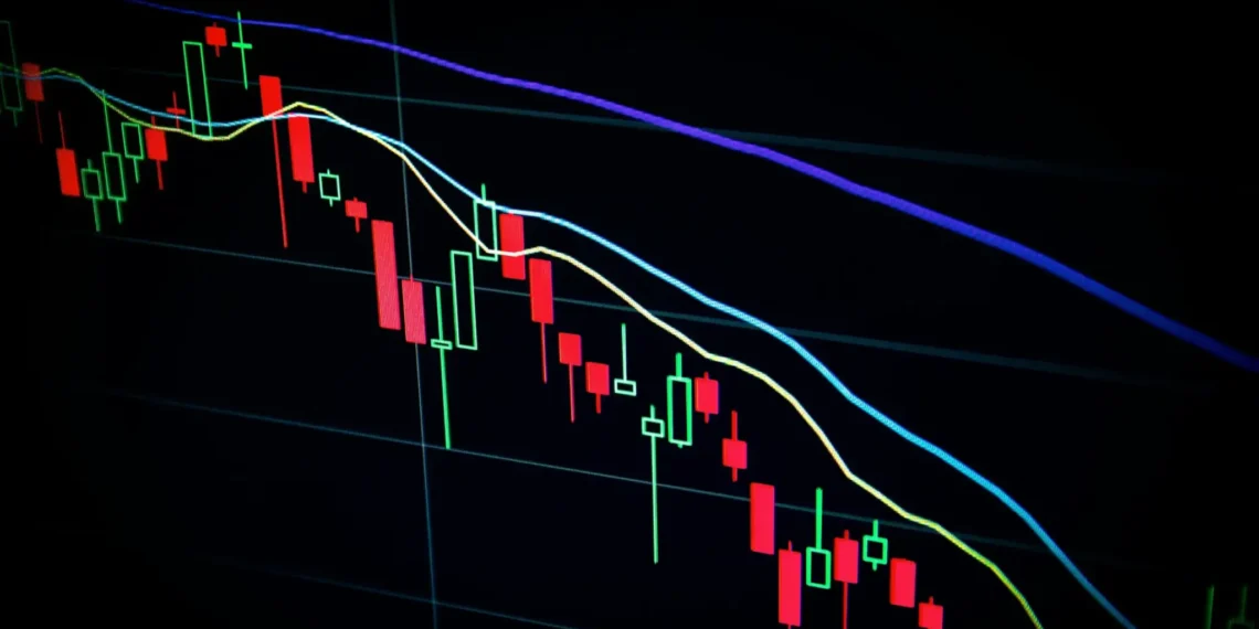 Tak Bisa Tambah Manual? Ini Cara Update Pemegang Saham di Coretax DJP!
