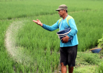 Kota Malang Beri Keringanan PBB Lahan Pertanian hingga 50%