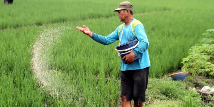 Kota Malang Beri Keringanan PBB Lahan Pertanian hingga 50%