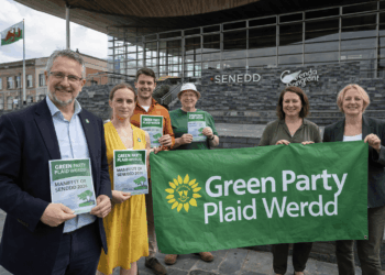 Melihat lebih dekat manifesto Partai Hijau untuk Senedd