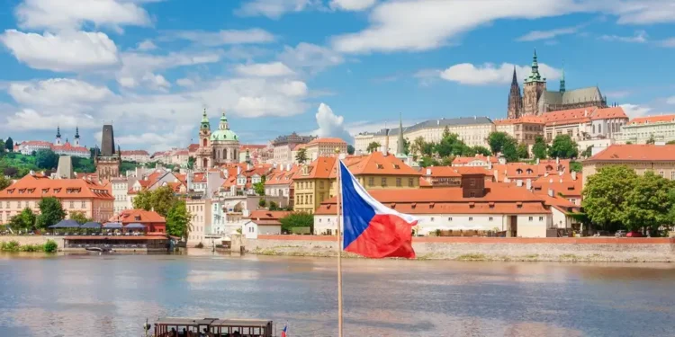 Reformasi Pajak PPN Terbaru: Aturan Piutang Macet dan Tarif Minuman Resmi Berubah!