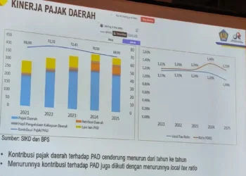 Local Taxing Power: 3 Strategi Bappenas untuk Daerah