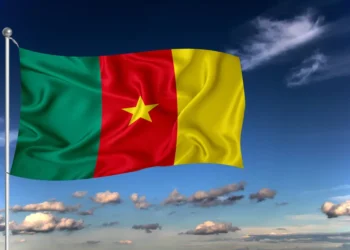 Aturan Baru Pajak 2026: Kamerun Wajibkan Sistem E-Invoicing secara Real-Time