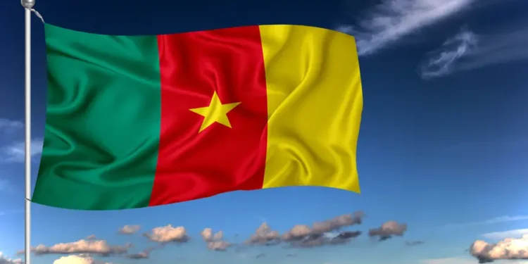 Aturan Baru Pajak 2026: Kamerun Wajibkan Sistem E-Invoicing secara Real-Time