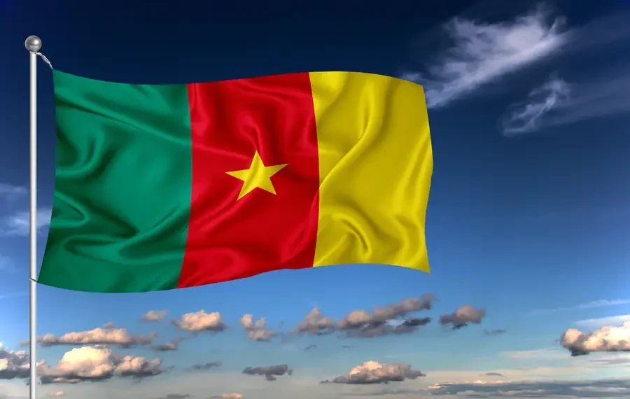 Aturan Baru Pajak 2026: Kamerun Wajibkan Sistem E-Invoicing secara Real-Time