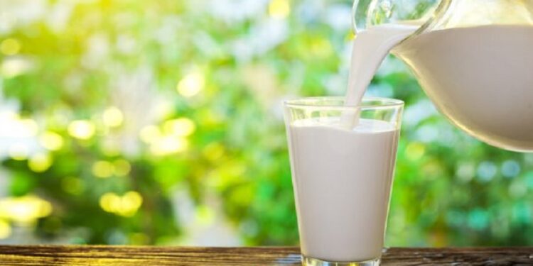 Dukung Peternak Lokal, Menteri Pakistan Dorong Relaksasi Pajak Produk Susu