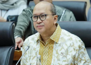 Gagal Lelang, Pengembangan Sistem OSS Batal di 2025