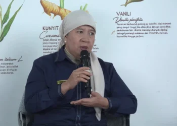 DJP Hitung Potensi Penerimaan Pemungut Pajak Marketplace