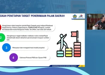 DJPK: Target Pajak Daerah Tak Harus Sesuai Potensi