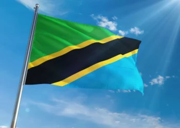 Bidik Asing, Tanzania Kerek Pajak Layanan Digital Jadi 3%