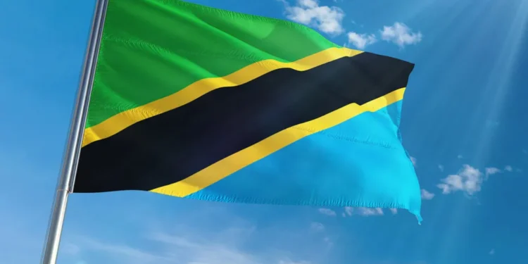 Bidik Asing, Tanzania Kerek Pajak Layanan Digital Jadi 3%