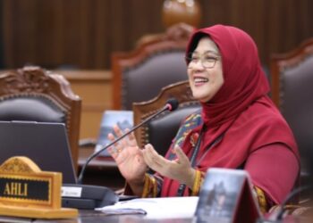 Sidang UU KUP: Ahli Soroti Aturan Pembatalan SKP di MK