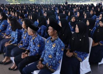 DPR Usul APBN Tanggung Gaji PPPK di Daerah Terbatas