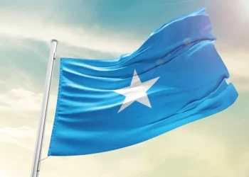 Somalia Bentuk Badan Penerimaan Nasional Urai Kebocoran Fiskal
