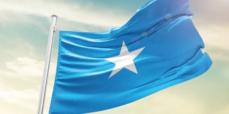 Somalia Bentuk Badan Penerimaan Nasional Urai Kebocoran Fiskal