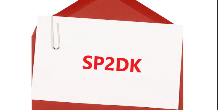 Tips Menghindari SP2DK dari DJP Saat Isi SPT Tahunan