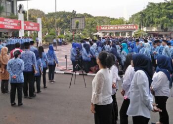 Natura di Daerah Tertentu Bebas Pajak Butuh Penetapan DJP