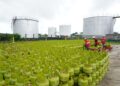 Impor LPG Bebas Bea Masuk Pangkas Biaya Petrokimia