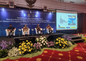 Pemerintah Beri Relaksasi DHE SDA untuk 5 Negara Mitra